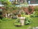 img0090.jpg