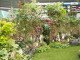 img0091.jpg