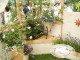 img0094.jpg