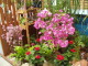 img0097.jpg