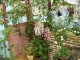 img0100.jpg
