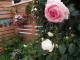 img0101.jpg
