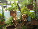 img0102.jpg