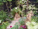 img0107.jpg