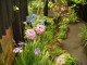 img0108.jpg