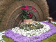 img0110.jpg