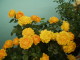 img0120.jpg