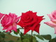 img0122.jpg