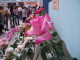 img0123.jpg