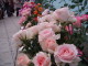 img0124.jpg