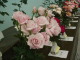 img0125.jpg