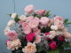 img0134.jpg
