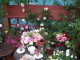img0141.jpg