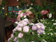 img0142.jpg