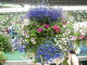 img0150.jpg