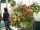 img0153.jpg