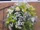 img0154.jpg