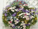 img0155.jpg