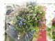 img0158.jpg