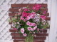 img0164.jpg