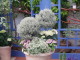 img0165.jpg