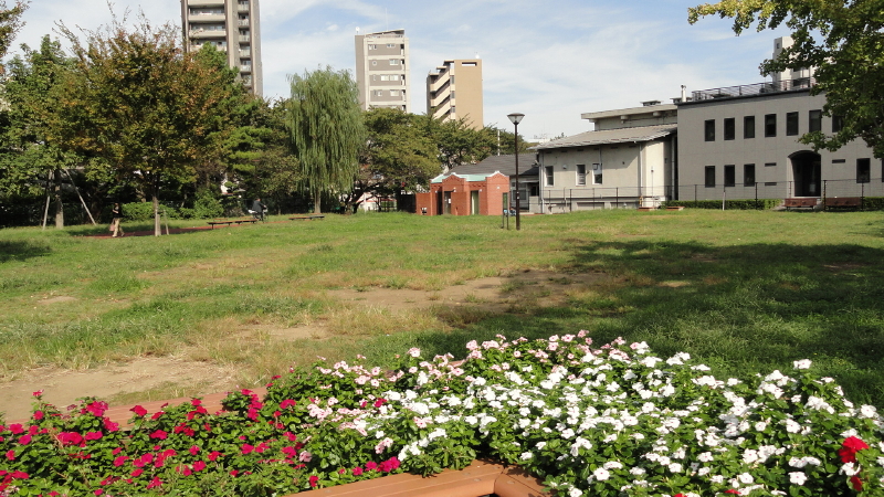 img0004.jpg