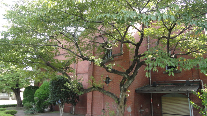 img0006.jpg