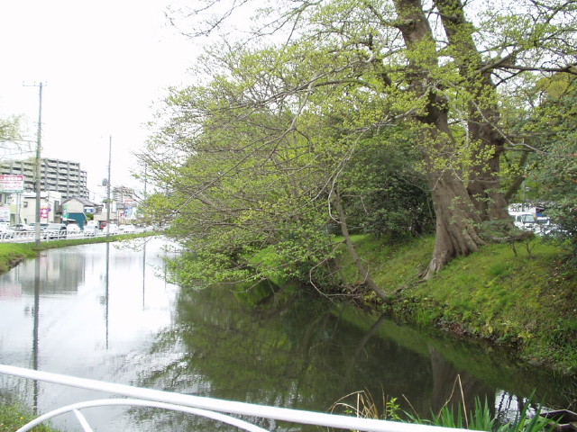 img0000.jpg