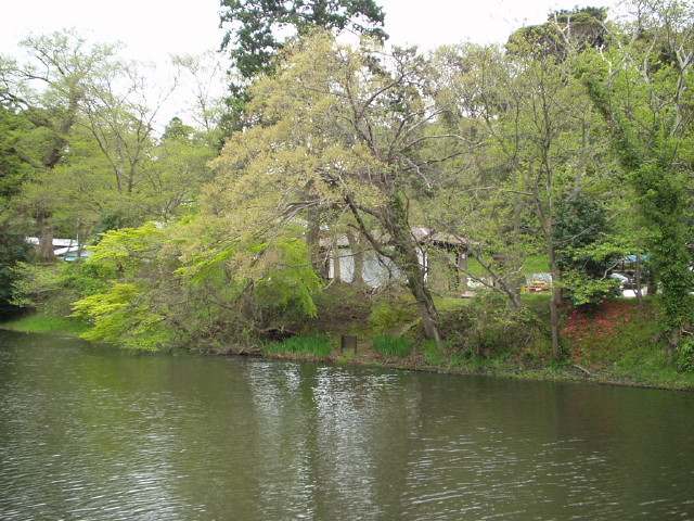 img0001.jpg