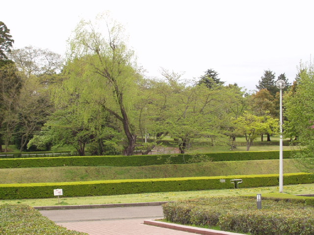 img0006.jpg
