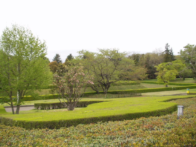 img0007.jpg