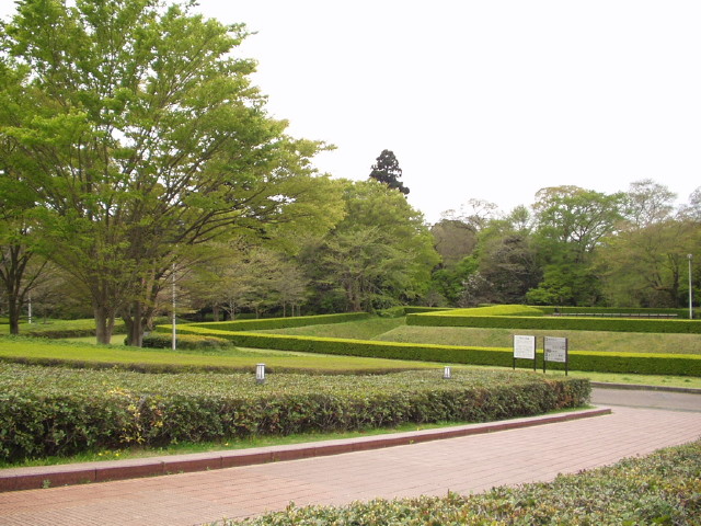img0008.jpg