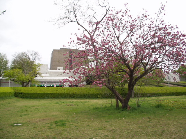 img0010.jpg
