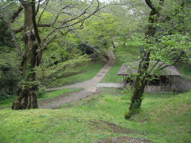 img0016.jpg