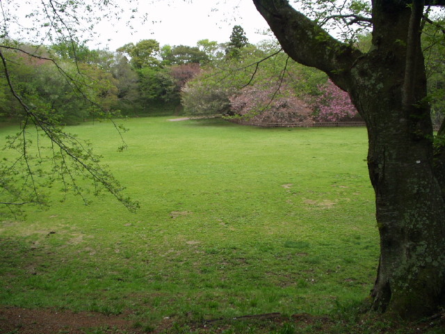 img0019.jpg