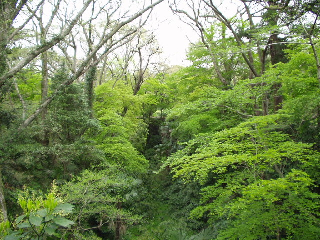 img0020.jpg