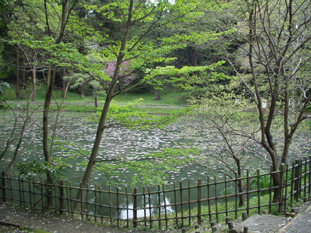 img0021.jpg