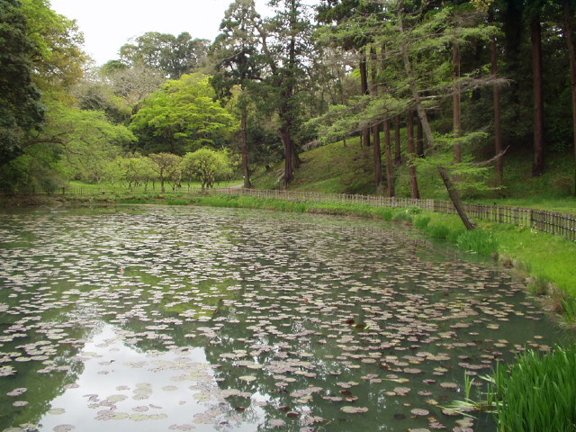 img0023.jpg