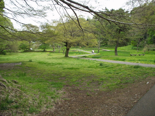 img0024.jpg