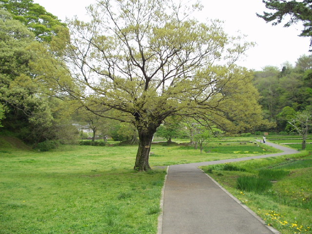 img0026.jpg