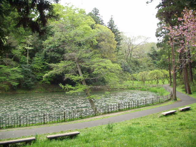 img0027.jpg