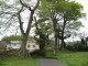 img0002.jpg