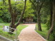 img0004.jpg