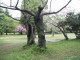 img0011.jpg