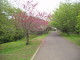 img0013.jpg