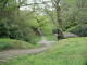 img0014.jpg