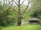 img0015.jpg