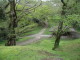 img0016.jpg