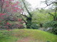 img0017.jpg