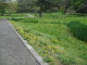 img0025.jpg